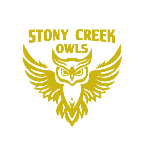 School Owls 04 Miniaturansicht