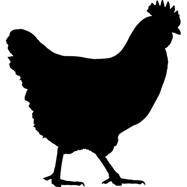 Chicken   Clipart 1 Miniaturansicht