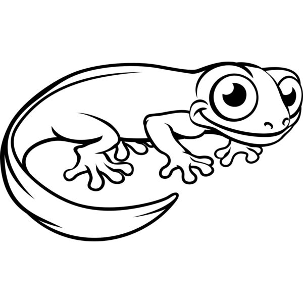 Newt   Clipart 3 Miniaturansicht